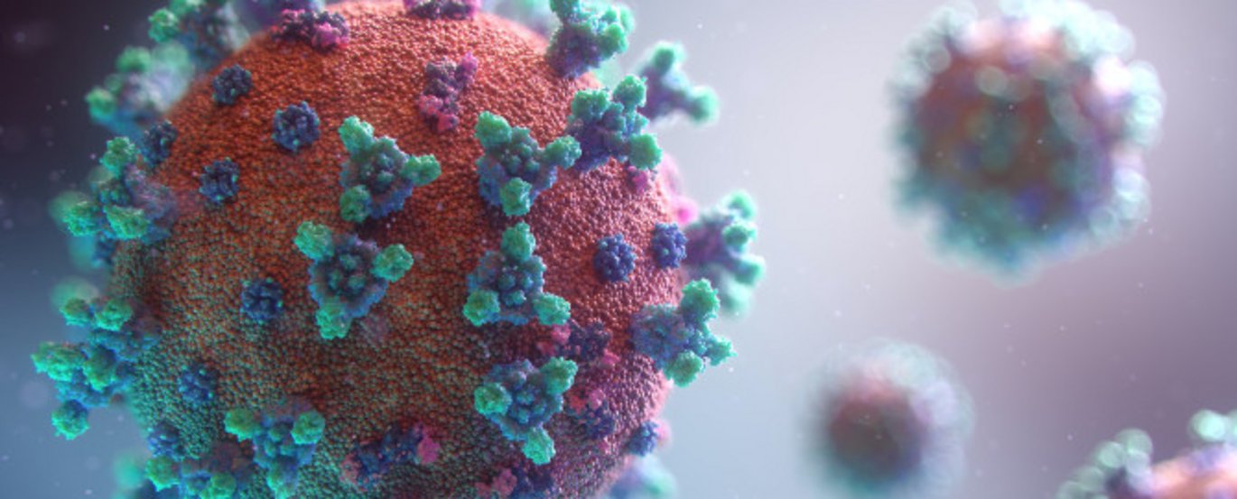 Visualisation of the Covid-19 virus